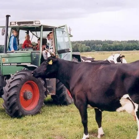 Ferien-und Bauernhof Gauster Feriehus Trebel