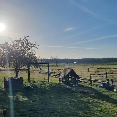 Ferien-und Bauernhof Gauster Trebel