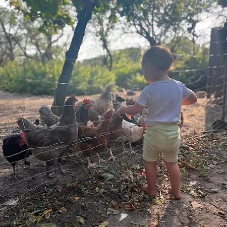 Ferien-und Bauernhof Gauster * Trebel
