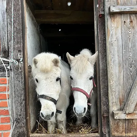 Feriehus Ferien-und Bauernhof Gauster