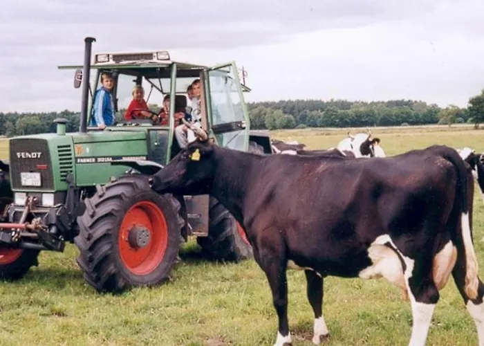 Ferien-und Bauernhof Gauster Semesterbostad Trebel