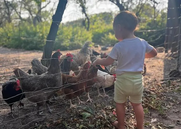 Ferien-und Bauernhof Gauster * Trebel