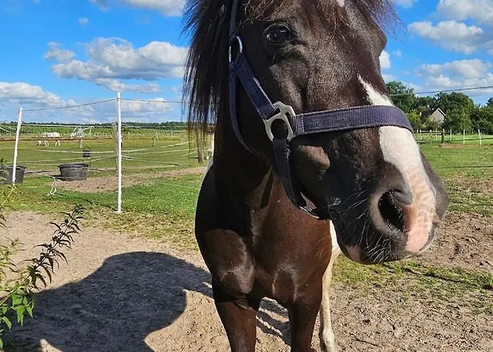 Ferien-und Bauernhof Gauster Semesterbostad *