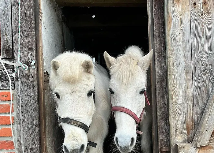 Semesterbostad Ferien-und Bauernhof Gauster